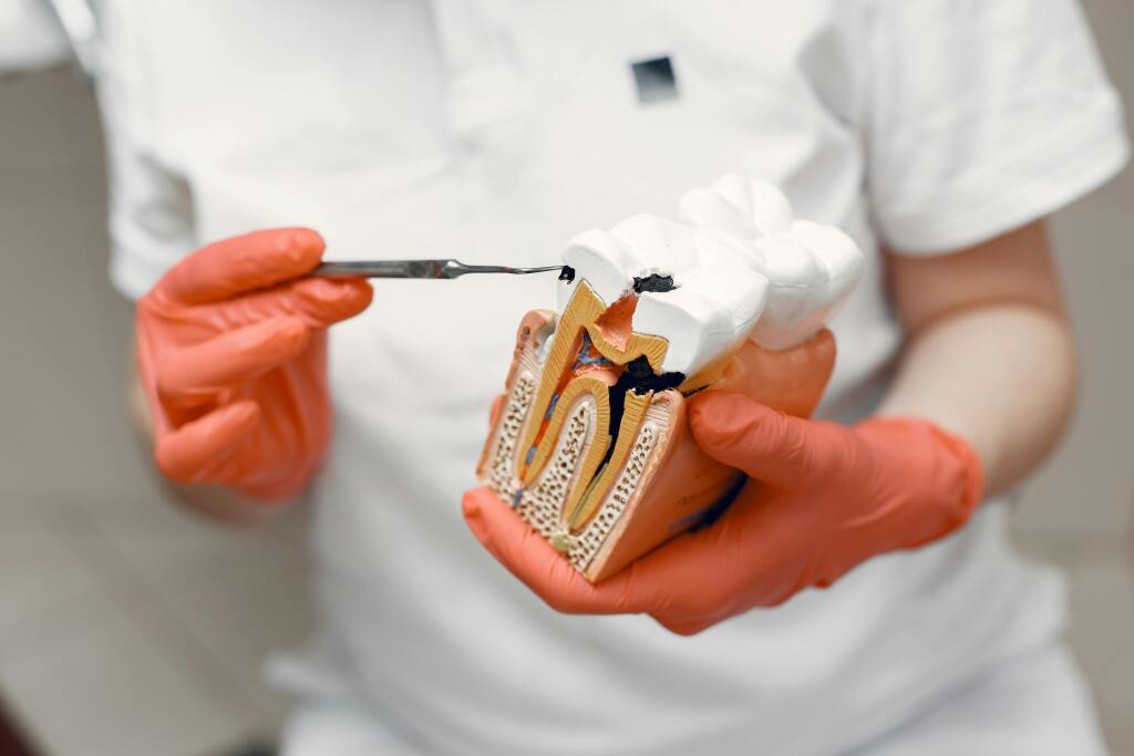 🌿 The Truth About Natural Remedies for Tooth Decay: What Works and What Doesn’t